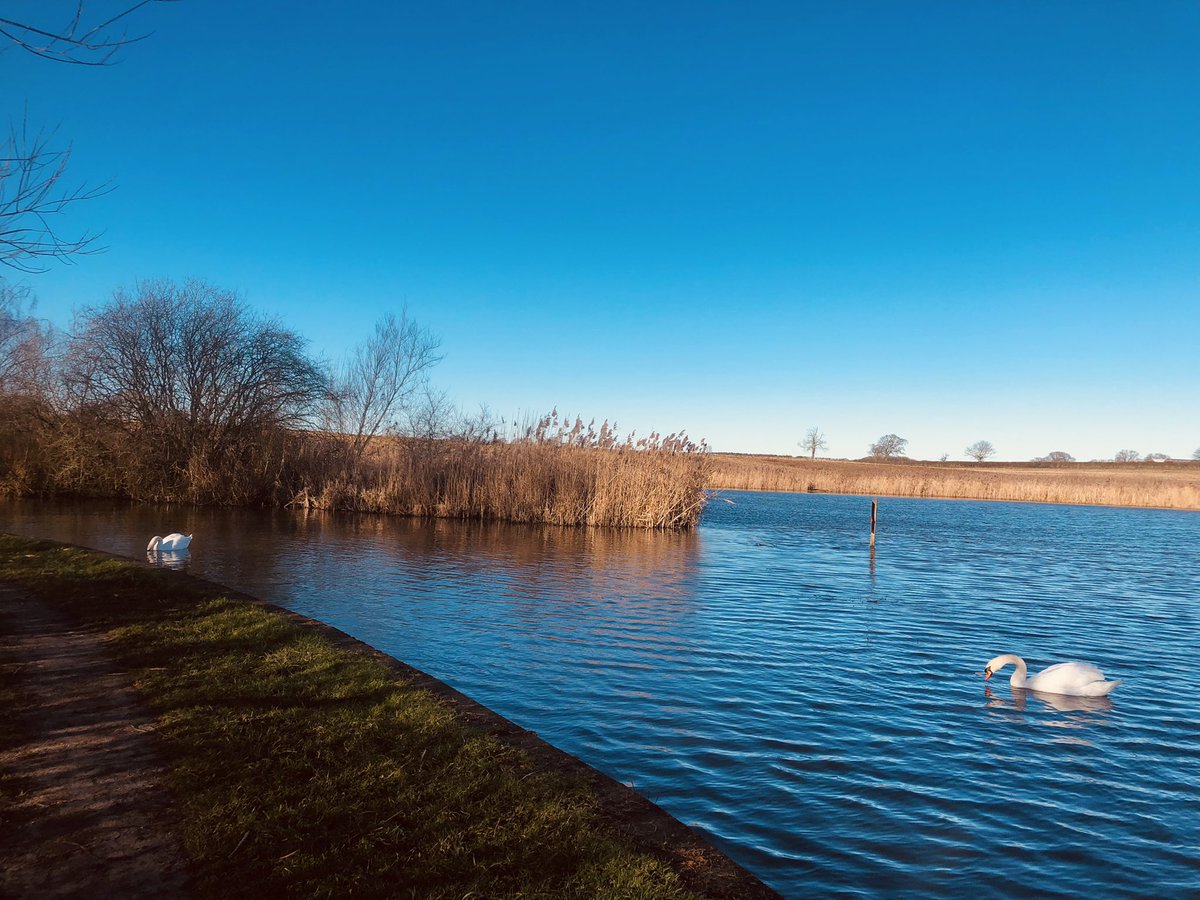 SwanwatchUk's tweet photo. THREE MILLION STEPS COMPLETED WITHIN 156 DAYS . TOTAL SO FAR IN JAN 2023 WITHIN 15 DAYS = 235,192 #walkingsteps https://t.co/hOTUmDnEaE