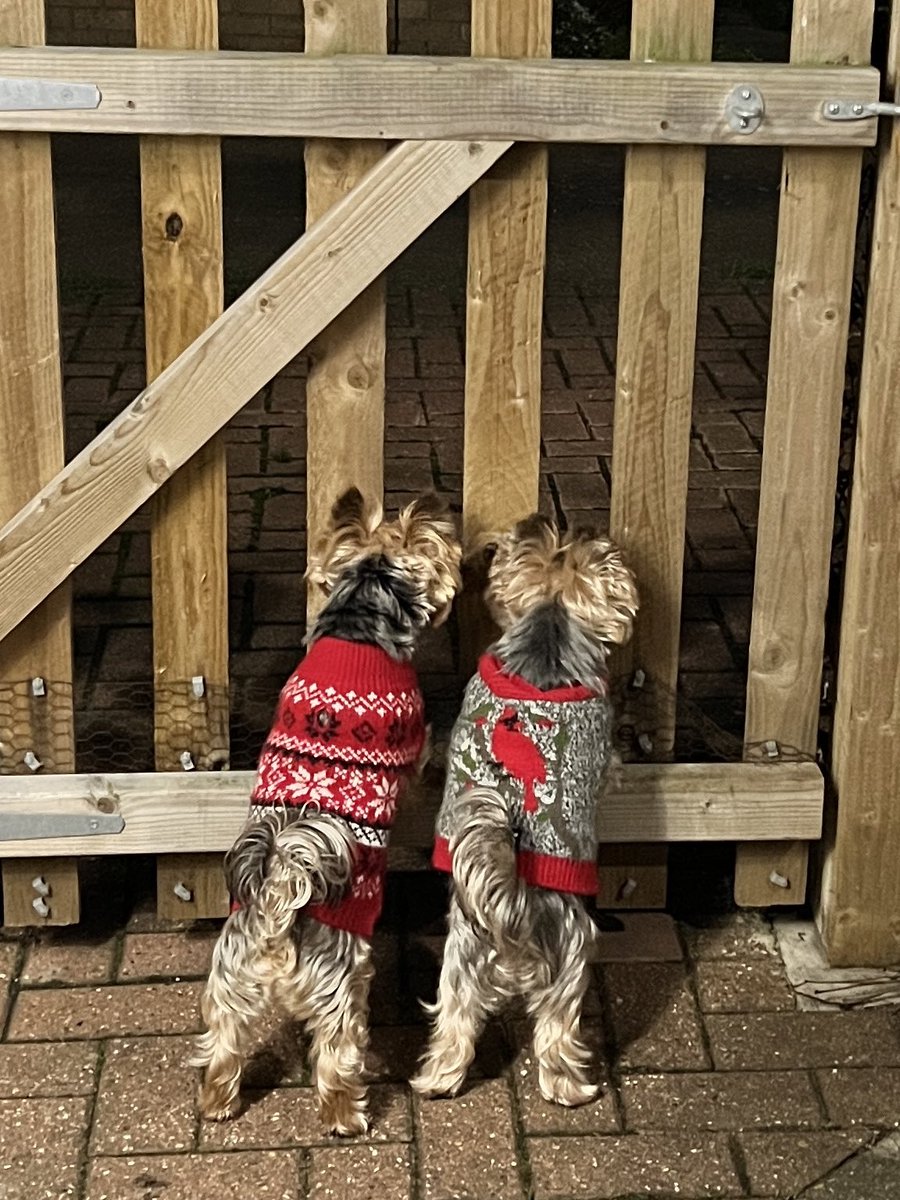 NO ZOMBIES ALLOWED!! And no larrffin at us in our jumpers. It’s chilly.  #ZSHQ