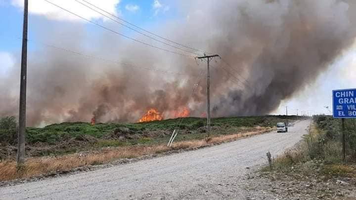 CentralCBPM's tweet image. INCENDIO DECLARADO FORESTAL por Quema de Matorrales de gran extensión con peligro a viviendas y tendido eléctrico. 

Bomberos de 1ra, 3ra, 6ta, 8va y 9na compañías se encuentran trabajando en el lugar junto a personal CONAF y Bomberos de Puerto Varas y Llanquihue. #AlertaRoja 🚒