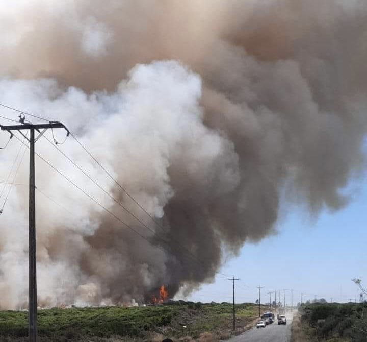 CentralCBPM's tweet image. INCENDIO DECLARADO FORESTAL por Quema de Matorrales de gran extensión con peligro a viviendas y tendido eléctrico. 

Bomberos de 1ra, 3ra, 6ta, 8va y 9na compañías se encuentran trabajando en el lugar junto a personal CONAF y Bomberos de Puerto Varas y Llanquihue. #AlertaRoja 🚒