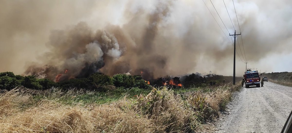 CentralCBPM's tweet image. INCENDIO DECLARADO FORESTAL por Quema de Matorrales de gran extensión con peligro a viviendas y tendido eléctrico. 

Bomberos de 1ra, 3ra, 6ta, 8va y 9na compañías se encuentran trabajando en el lugar junto a personal CONAF y Bomberos de Puerto Varas y Llanquihue. #AlertaRoja 🚒