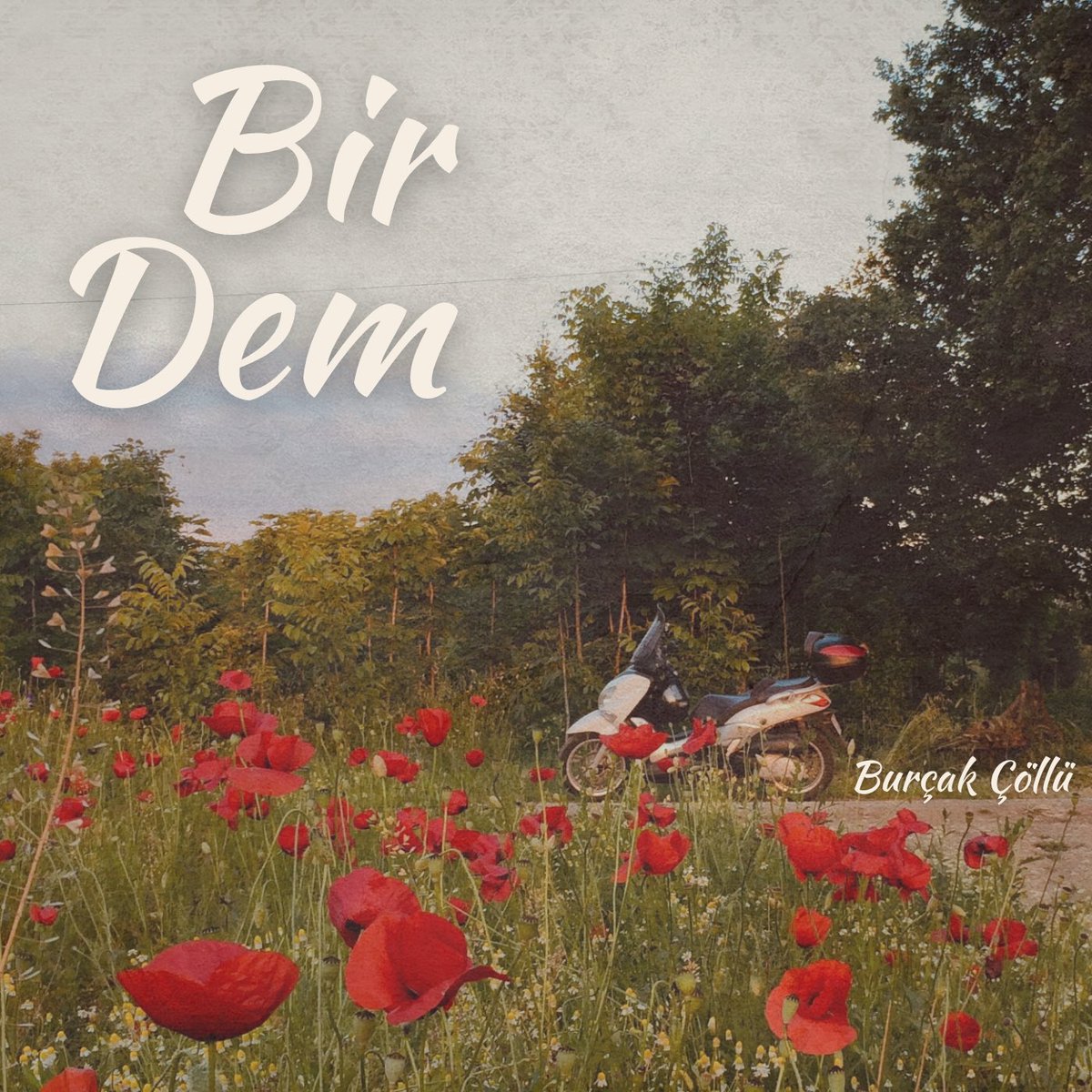 burcakcollu's tweet photo. Hikayesi Kalır albümünün ilk şarkısı, yolculuğumuzun ilk durağı Bir Dem, 27 Ocak cuma günü yayında olacak.
Henüz bütün dallarımız yeşilken, o kırılganlıkta söylemeye cesaret ettiğimiz her şey için şefkatli bir teşekkür olsun.
27 Ocak’ta görüşürüz. 🐞
#hikayesikalır
#birdem https://t.co/qiAfFDAXTU