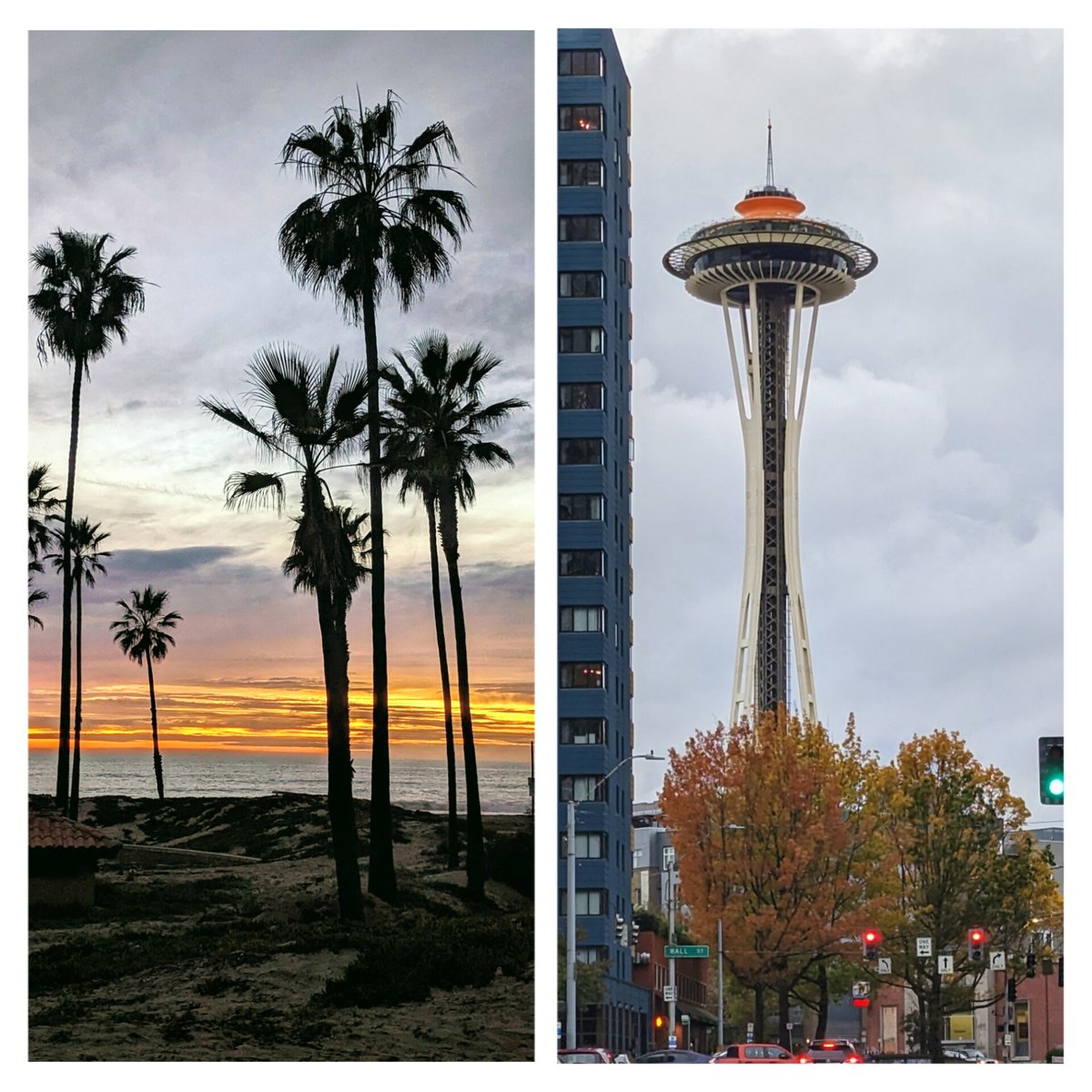 TG Gowda tweet media