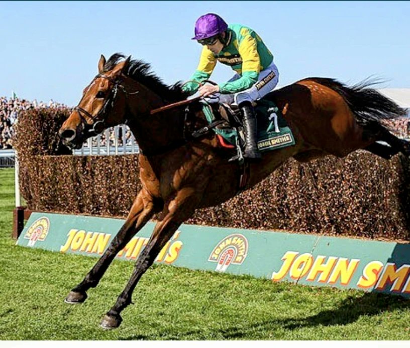 JessWestwood's tweet photo. Lot 149 @GoffsUK a very exciting son of @coolmorestud MAXIOS out of Clever Mode a half sister to @PFNicholls MASTER MINDED &amp; full sister to LET IT BE. He is the very last foal from this line. #MollandRidgeStud  #SuperstarInTheMaking #MasterMinded #Foals #Maxios https://t.co/RyfafZFvGE