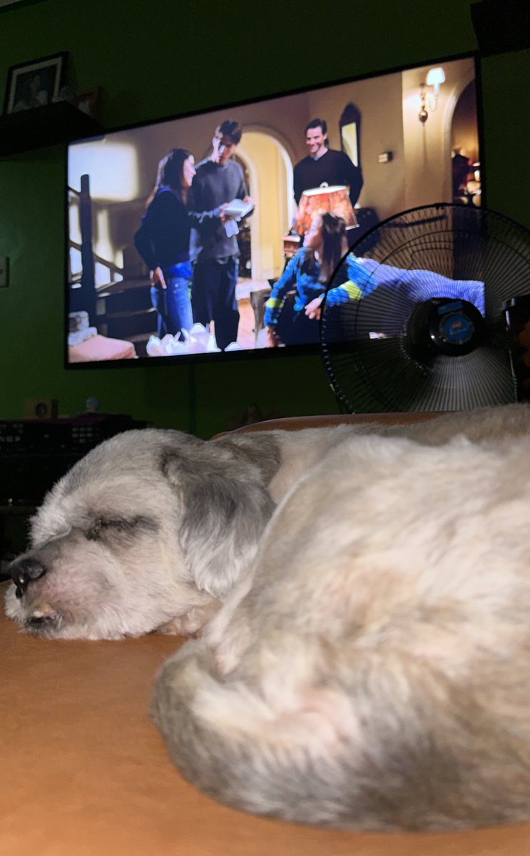 iamyanras's tweet photo. that movie buddy who sleeps through the show, that’s him. he stays by me though, that’s enough. https://t.co/x0XEn2uqyc