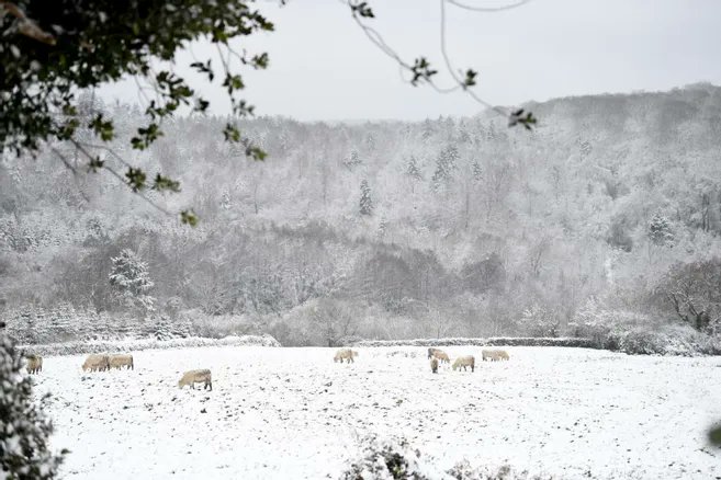 Du froid et de la #neige annoncés cette semaine dans l'Yonne
>>lyonne.fr/auxerre-89000/…