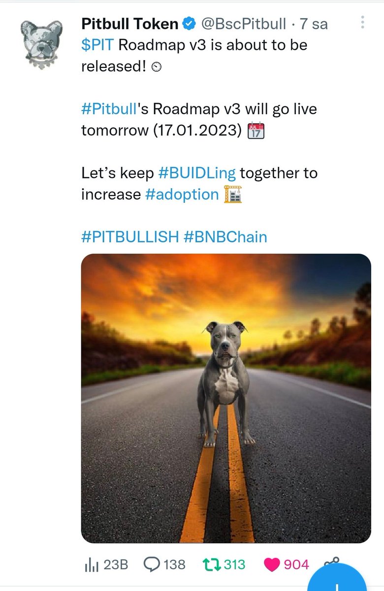 So the new Roadmap of #Pitbull will released tomorrow.

Expecting something big and powerfull from #PIT 💪🏾

Most Hodlers of $PIT is holding more than a year know 🙏🏿

Believe that,
Patience will bring happiness ✌🏿🥰