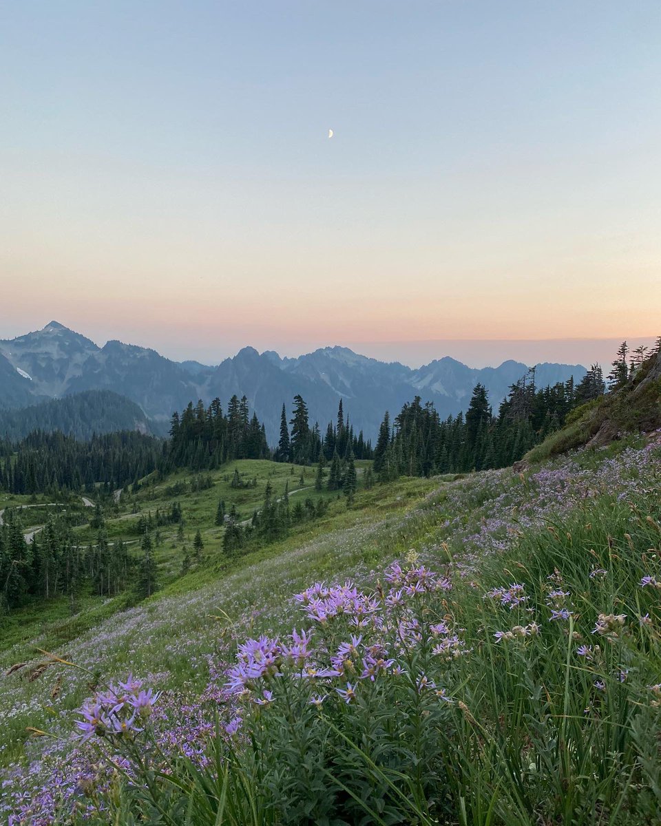 emilyshoots's tweet image. iPhone                     Vs.              my camera