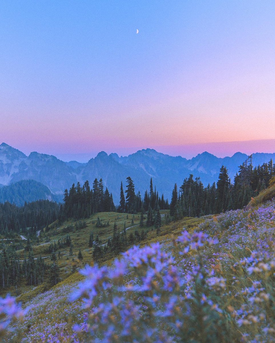 emilyshoots's tweet image. iPhone                     Vs.              my camera