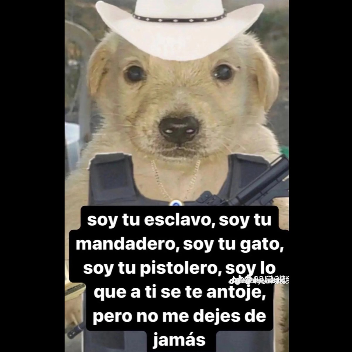 PConqueso14's tweet photo. @YuxiYuxi090 Alguien más le gusta su cara con ese pelo 🫶❤️
Se ve hermosa 🌹🤙 https://t.co/9cPhXi9mHq