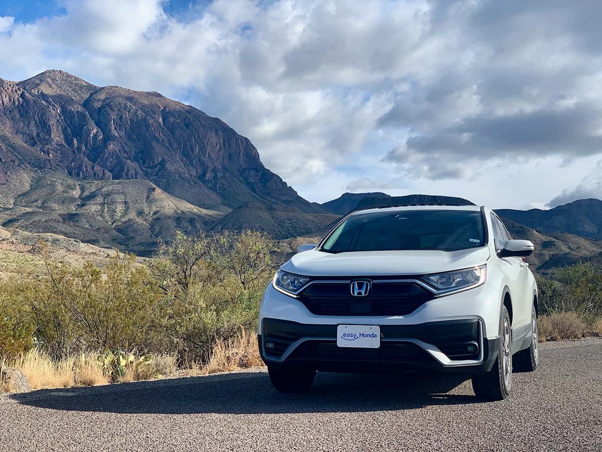 Easy Honda tweet media