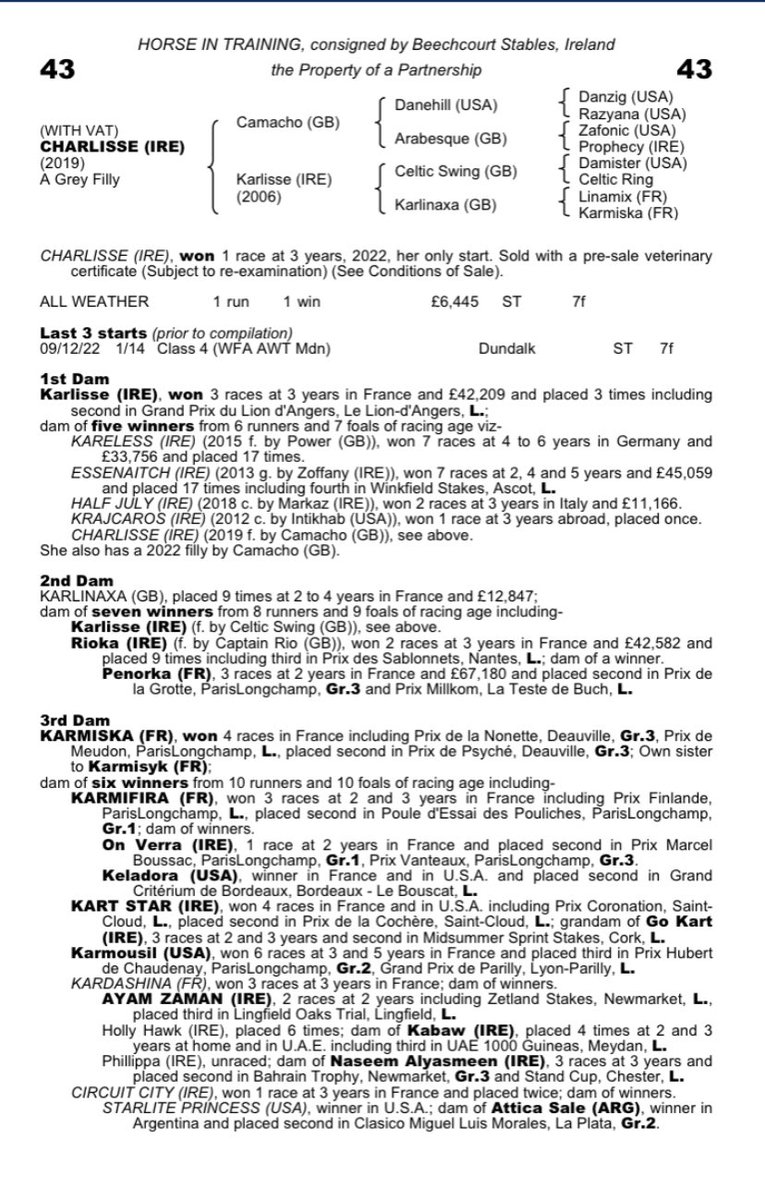 CathyGrassick's tweet photo. Lot 43 @tatts_online January sale @Tattersalls1766 is CHARLISSE (Camacho) - impressive 1st time out winner for @dwcullen1 at @DundalkStadium. She is an exciting prospect for the future with a quality female pedigree. https://t.co/rEhEO6lQgj