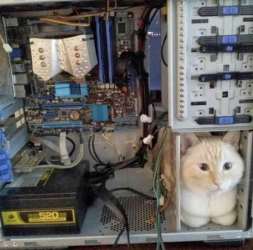WildComputers's tweet photo. https://t.co/umTaMbliNu