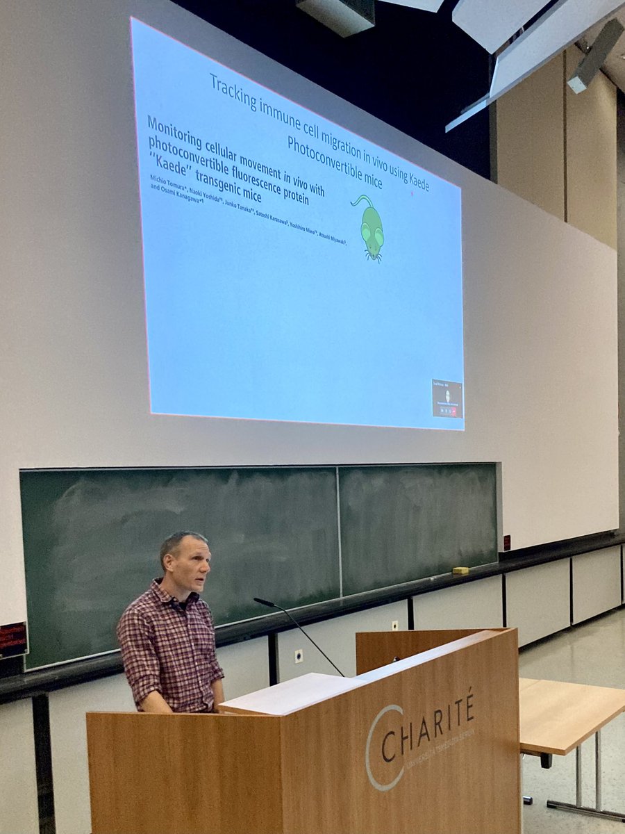 Next round of our Charité Campus Seminars. <a href="/ChariteBerlin/">Charité - Universitätsmedizin Berlin</a> <a href="/MicrobioCharite/">Microbiology, Infectious Diseases & Immunology</a> Today it was a pleasure to welcome David Withers <a href="/LabWithers/">WithersLab</a> as our guest speaker. Exciting data on the migration &amp; fate of T &amp; NK cells within the tumor microenvironment using photoconversion &amp; scRNA-Seq