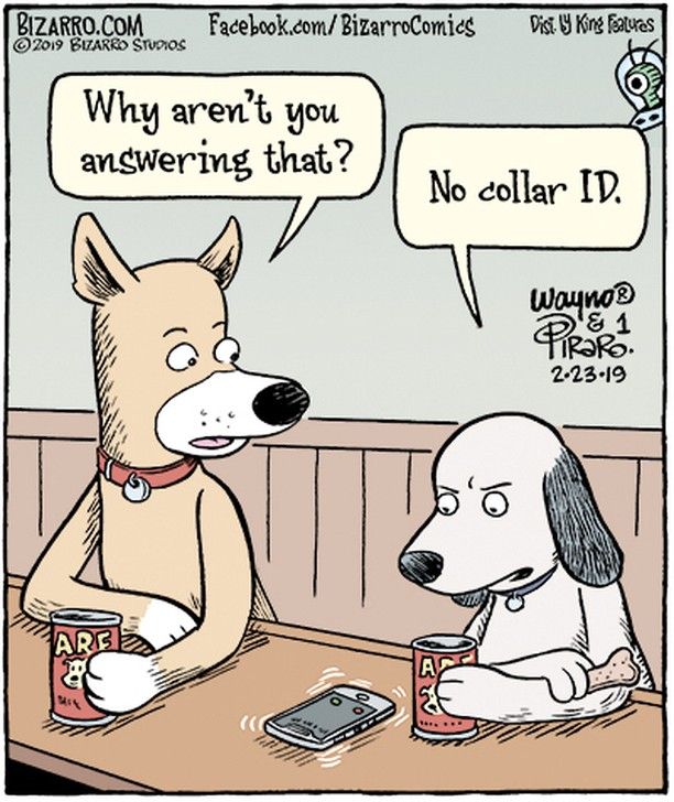 drakecentervet's tweet photo. 🤣 Joke of the day! https://t.co/p9311yAQAv