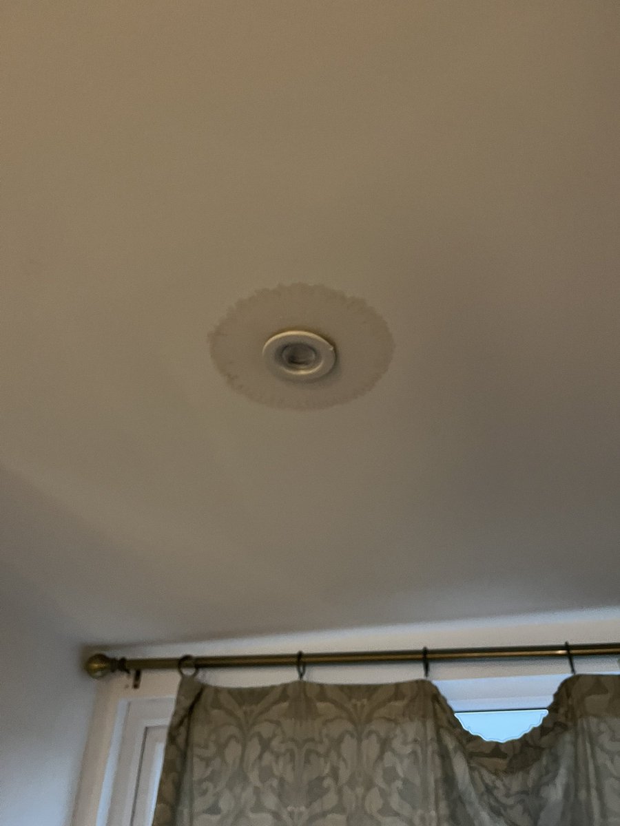 Tracey Dodds tweet media