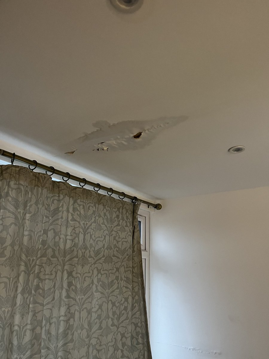 Tracey Dodds tweet media