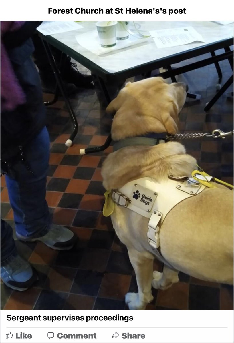 Guide Dog Sergeant & RGD Verity RIP tweet media
