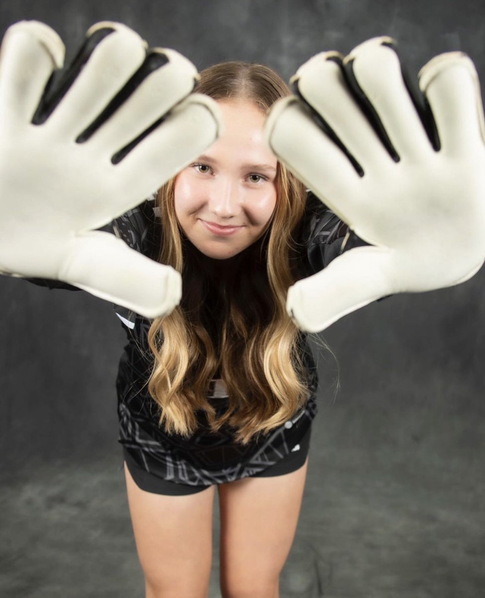 DZL Goalkeeping tweet media