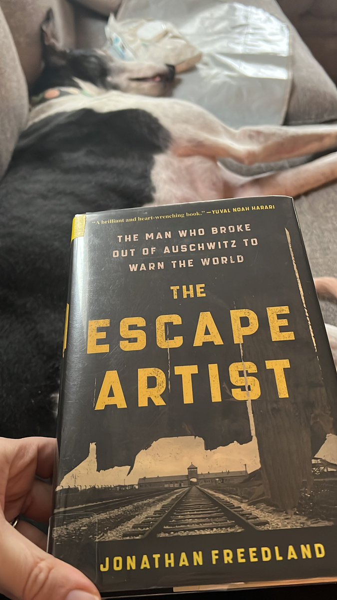 Book #6 ft. my lazy dog