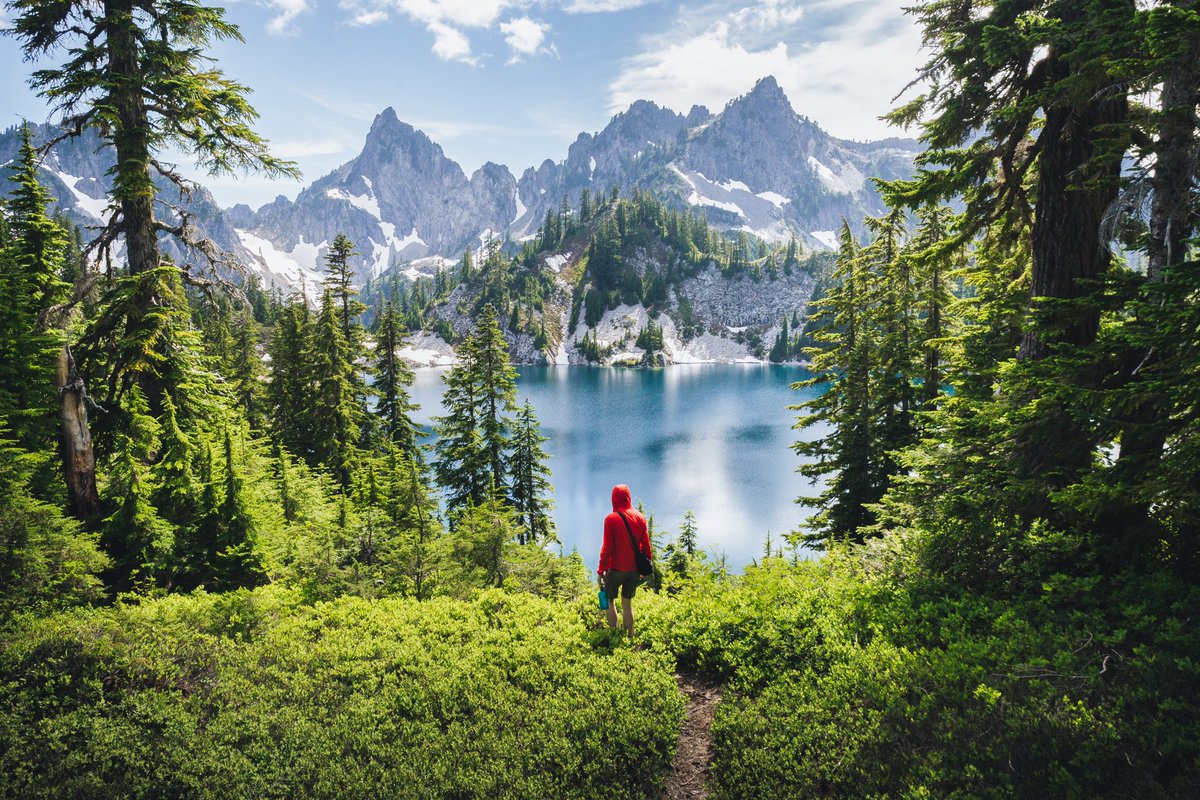 ElliotHawkey's tweet photo. mountain greens in washington state https://t.co/afE2mlsZer