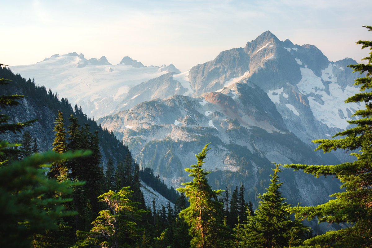 mountain greens in washington state