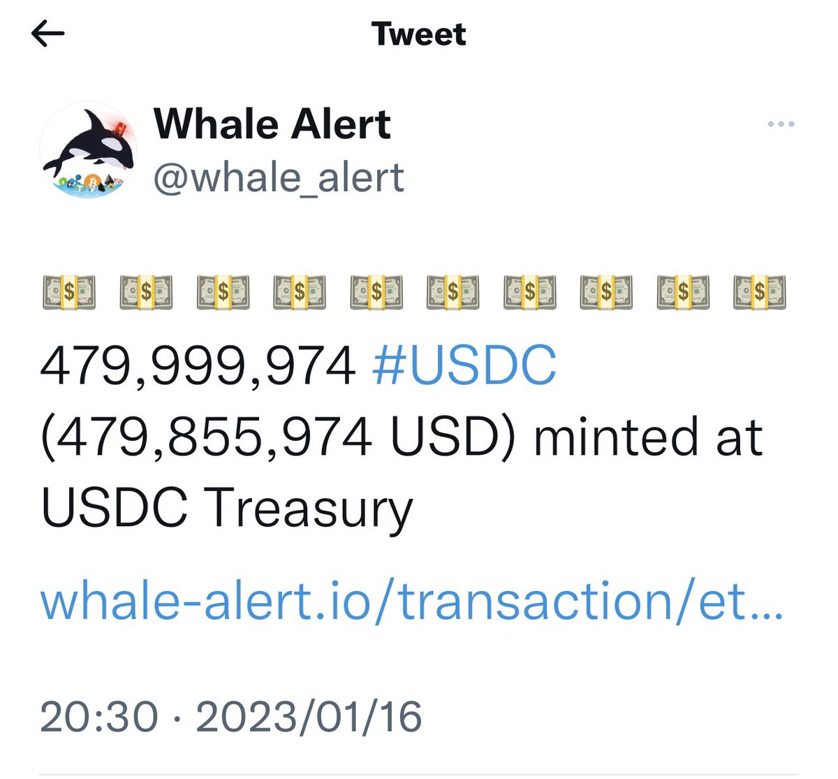 Ran Neuner tweet media