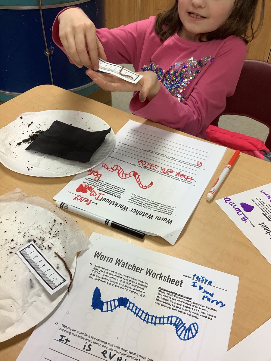 Gamerd0g's tweet photo. Second Grade students shared their #STEM room with a very wiggly friend! Earth scientists studied anatomy, made a habitat for, and documented observations of a worm. What does a worm do when placed in a new environment? #science #math #STEMEducation #compostIng #earthscience https://t.co/ZqIFdgeBRE