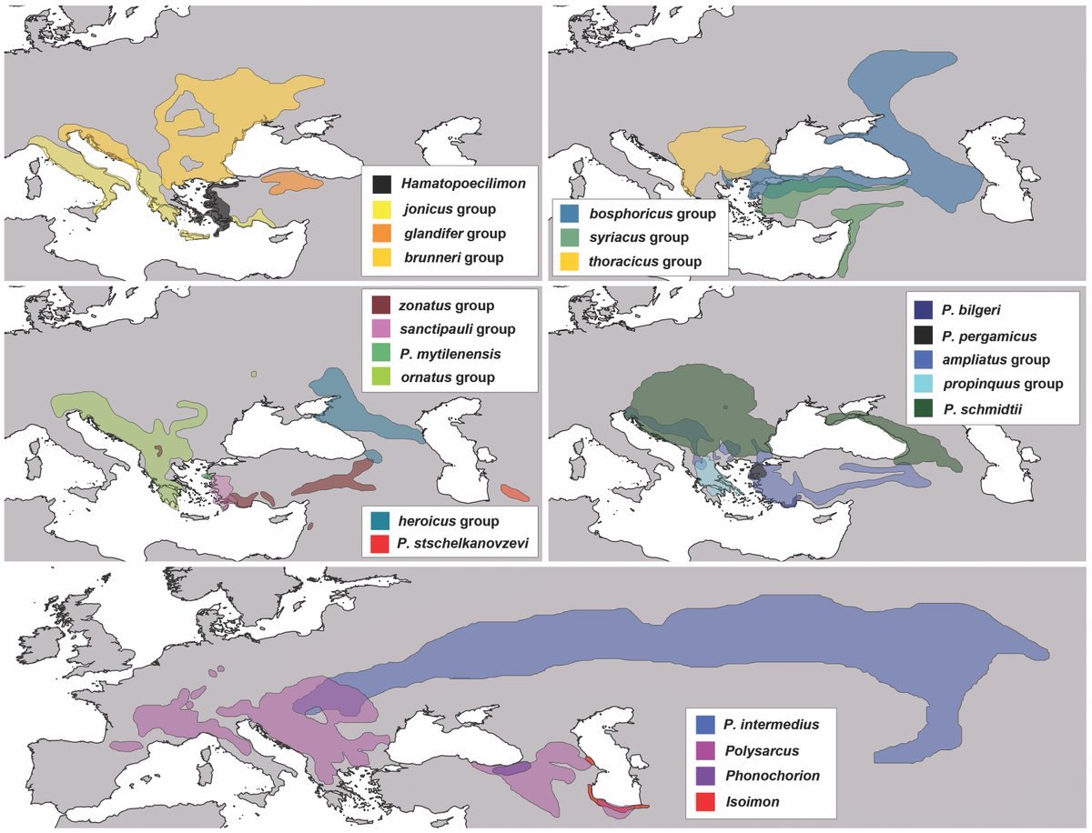 Congrats to Borissov et al. for an amazing paper on Poecilimon evolution!! Origin, #evolution and systematics of the genus #Poecilimon (Orthoptera: Tettigoniidae)—An outburst of diversification in the Aegean area. <a href="/Systematic_Ent/">Systematic Entomology</a> 
resjournals.onlinelibrary.wiley.com/doi/10.1111/sy…, doi.org/10.1111/syen.1…