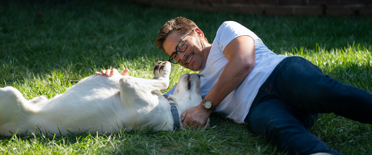 Entertainment Factor tweet media