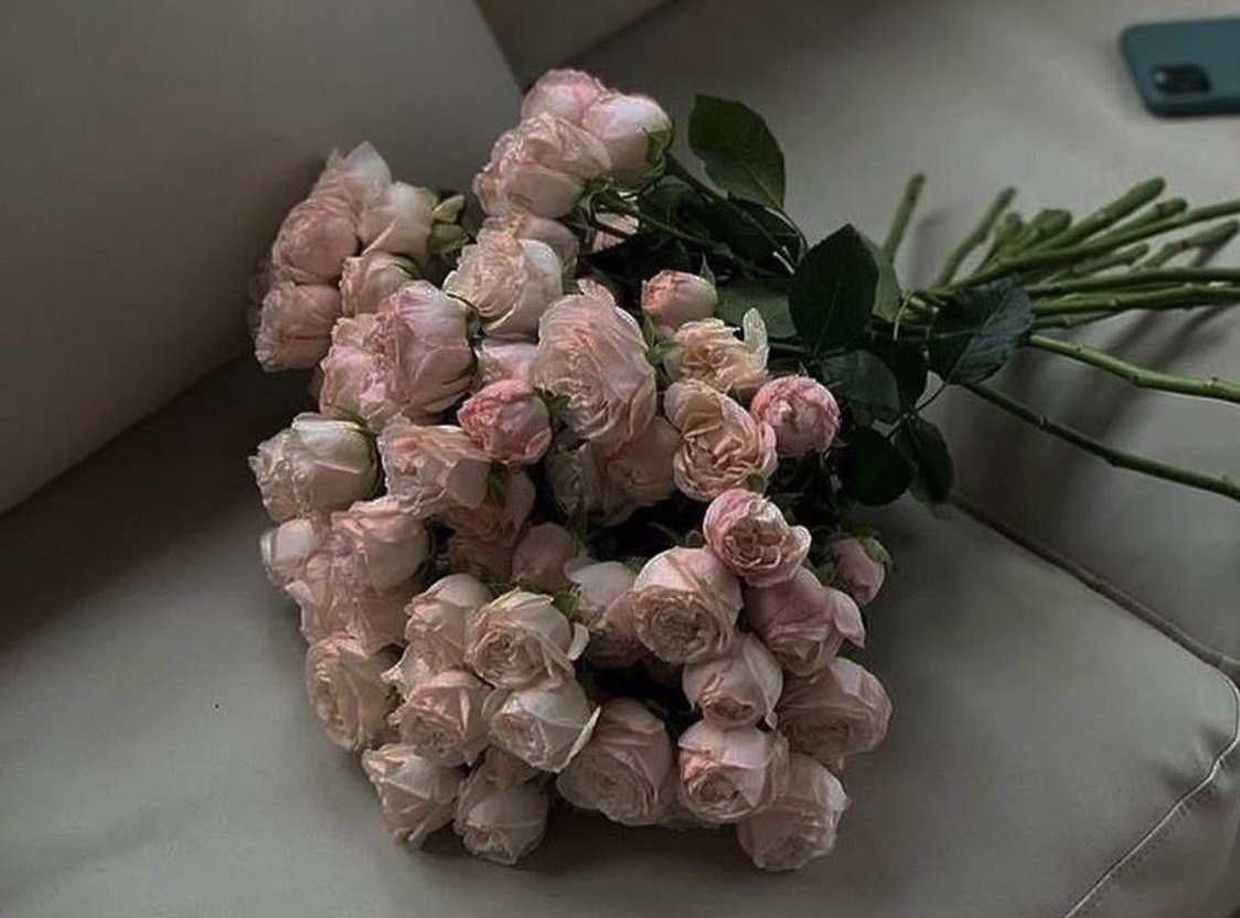 🌸📬 tweet media