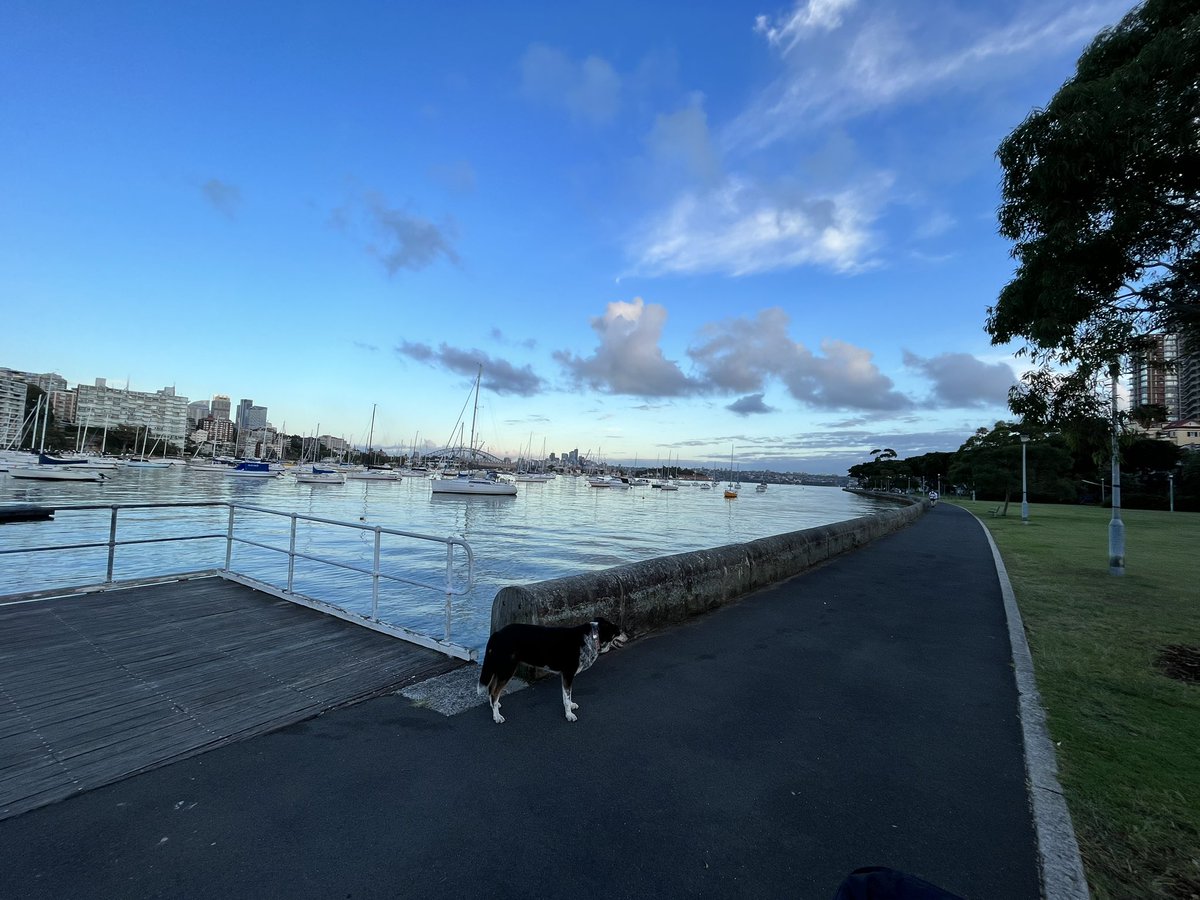 elmaylev's tweet photo. First time walking to the Point knowing we won’t see our friend Bill but looking for him anyway. My heart is heavy. https://t.co/4ydningV3z