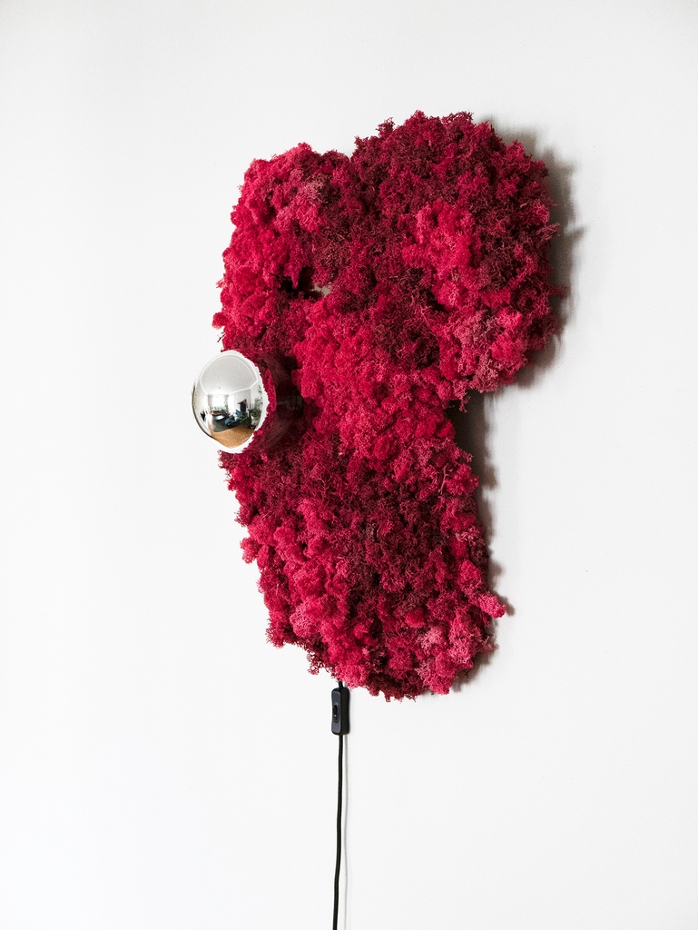 AdornoDesign's tweet image. The “Lichen Leftover Light” is part of a project where Louise Hederström investigates and shapes discarded lichen. adorno.design/pieces/lichen-…

#womendesigner #femaledesign #lampdesign #sculpturallamp #lampsculpture #reindeermoss #moss #nature #design