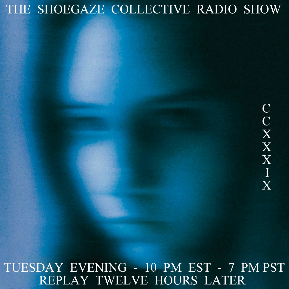TShoegazeCollective tweet media
