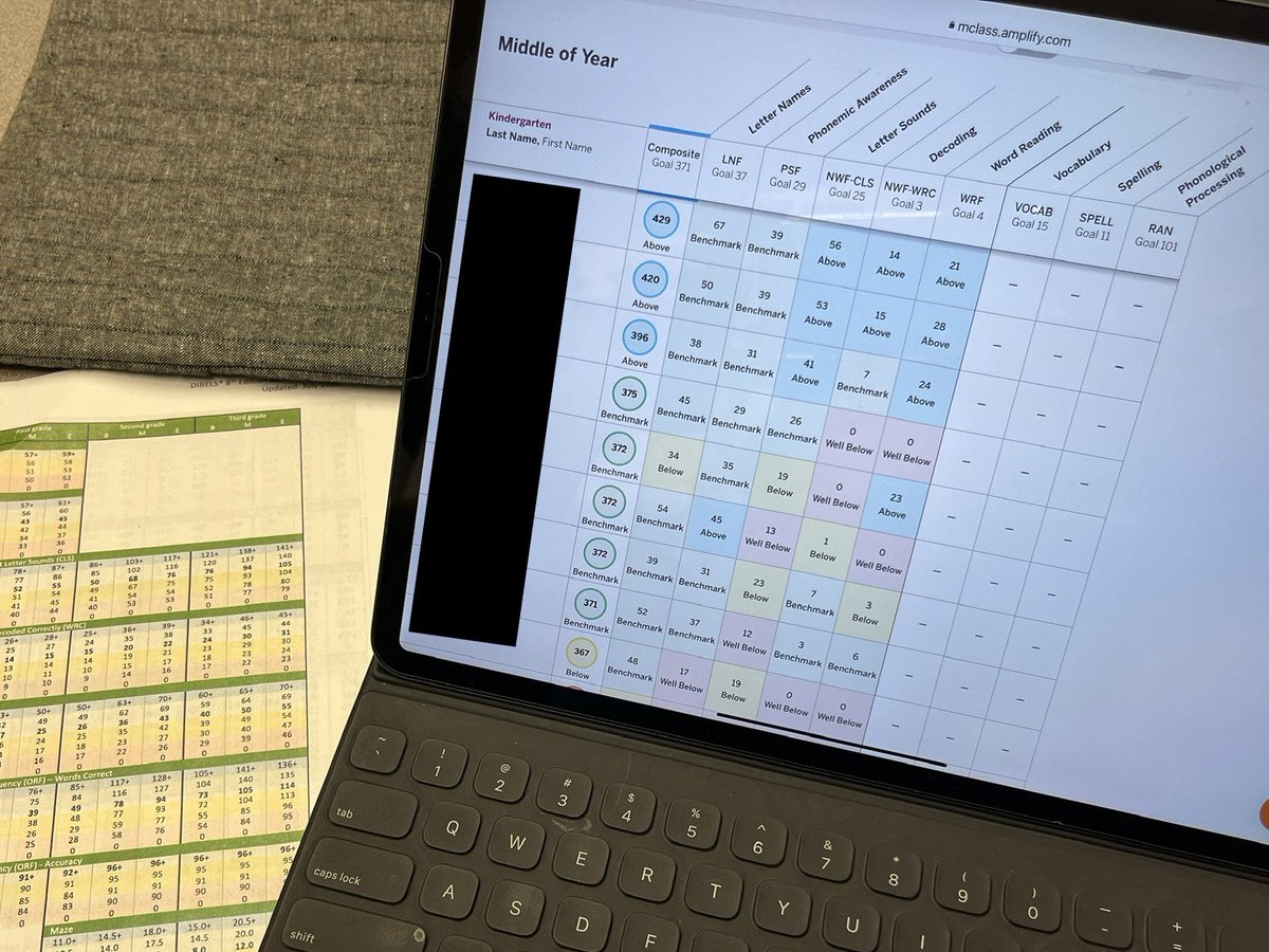 So grateful to be working with colleagues to implement universal screening. Some great learning happening today at <a href="/HSCDSB/">Huron-Superior Catholic DSB</a> !