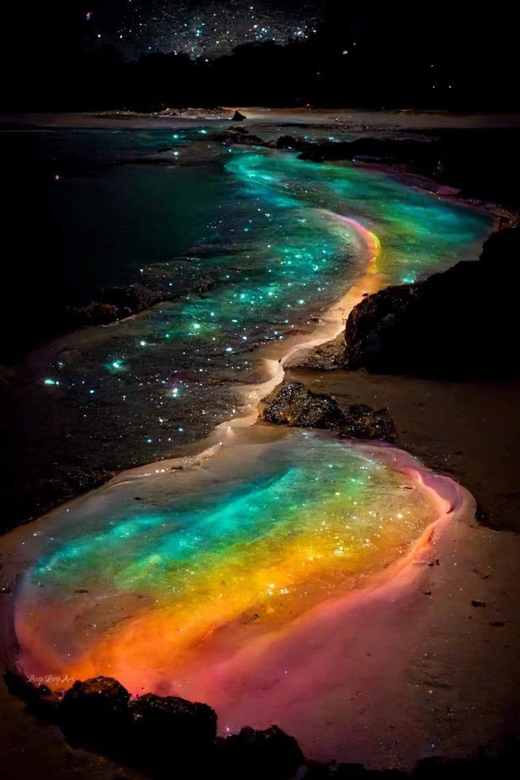 Nature рџњ On Twitter Nature Https T Co Szidqqp5k3 Twitter Nature рџњ On Twitter Nature Https T Co Szidqqp5k3 Twitter