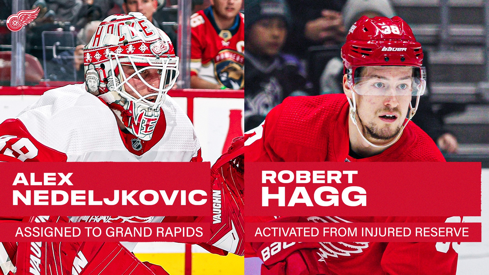 Detroit Red Wings on Twitter: "UPDATE: The #RedWings today assigned goaltender Alex Nedeljkovic to the AHL's Grand Rapids Griffins and activated defenseman Robert Hagg from injured reserve. 📰 » https://t.co/NHHGRqTtzo"