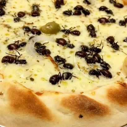 messedupfoods's tweet photo. ant pizza https://t.co/xrNXPhNzS4
