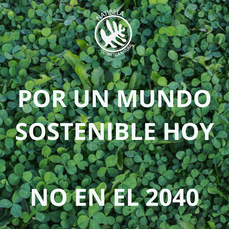 gloritarteaga21's tweet photo. El 66.2 % de capacidad instalada en #ElSalvador es energía renovable. Estamos innovando para ofrecer #solucionessostenibles, #sustentables, #saludables, #organicas, #ecologicas, #biodegradables, que mejoran la salud y la vida Si bien no soy una #startup pero quiero aportar al🌎 https://t.co/uRJelk36JB