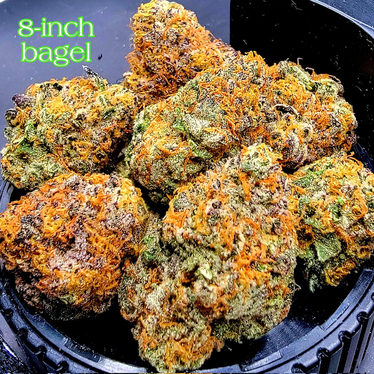 I got you a bagel for lunch. #Mmemberville #CannabisCommunity #StonerFam