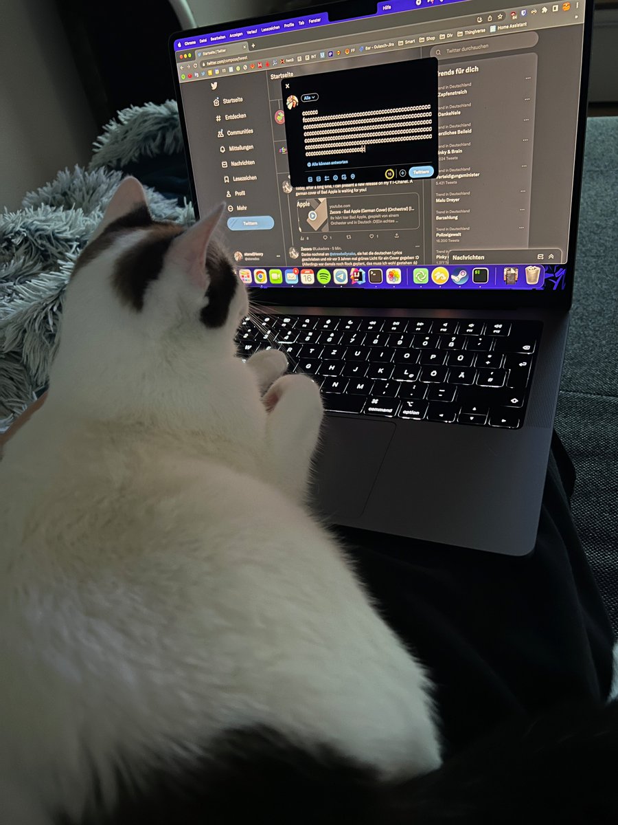 storedcc's tweet photo. Dieser Tweet wurde von einer Katze verfasst. https://t.co/X7HrNYkMXx