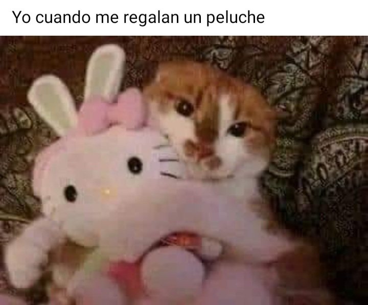 AmberUapa's tweet photo. Si soy!!! 🤭😂😅 https://t.co/CKkTqFduw1