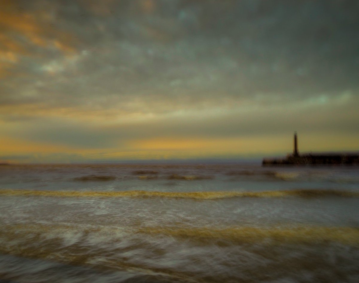 Robert Canis tweet media