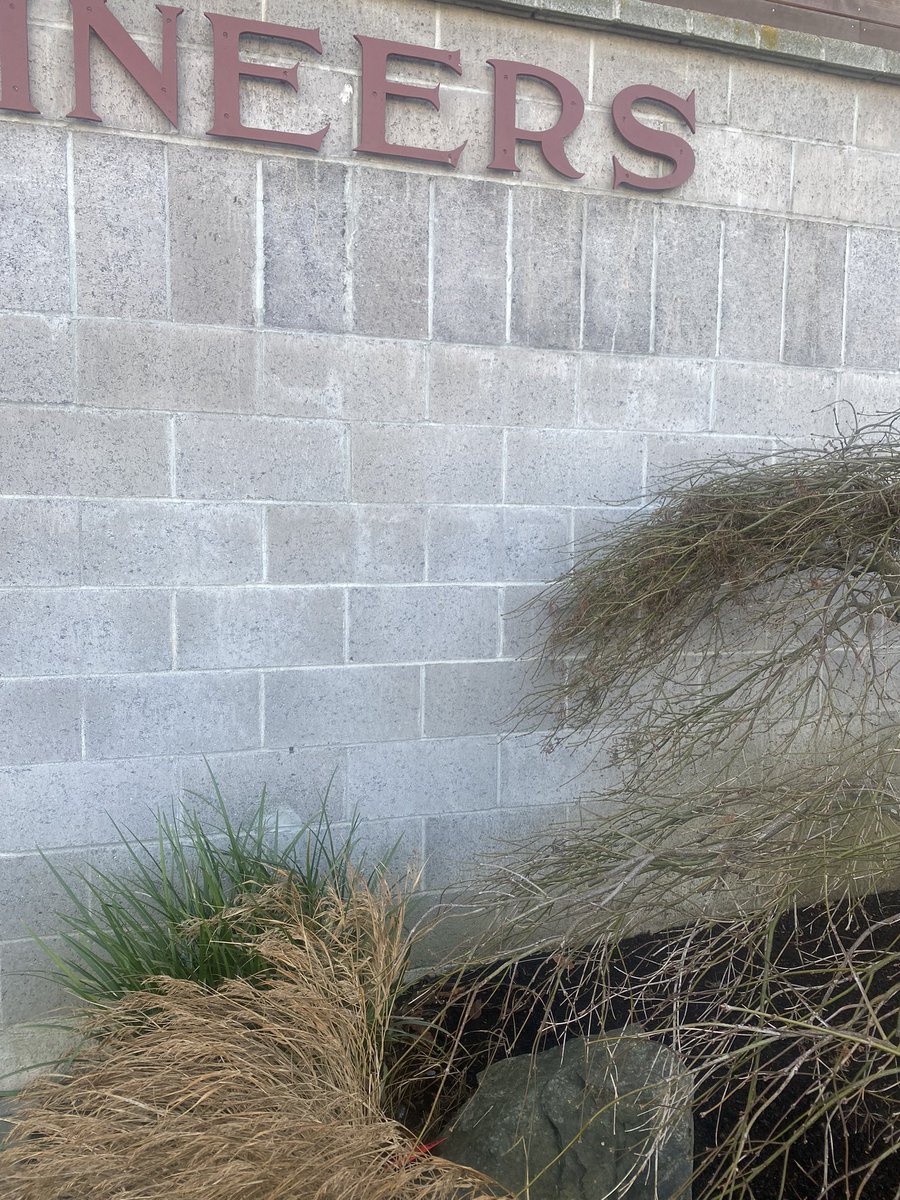 HeavinSarah's tweet image. Spreading messages of hope this year, with a rabbit charm for luck. #monkeyshines2023