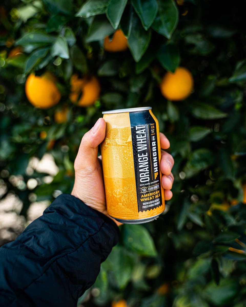 Hangar24Brewing's tweet photo. Real oranges. Real people. Orange Wheat. 🍊🍻😋
⠀
#OrangeWheat
#AdventuresWeShare
#DrinkLocal https://t.co/QetiLaIPZS