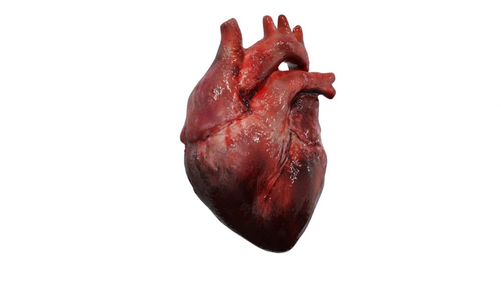 MissionCapable's tweet photo. The SITREP: Cardio Endurance 101 - https://t.co/QX0uJ0CuKe https://t.co/Nu66CaqQRv