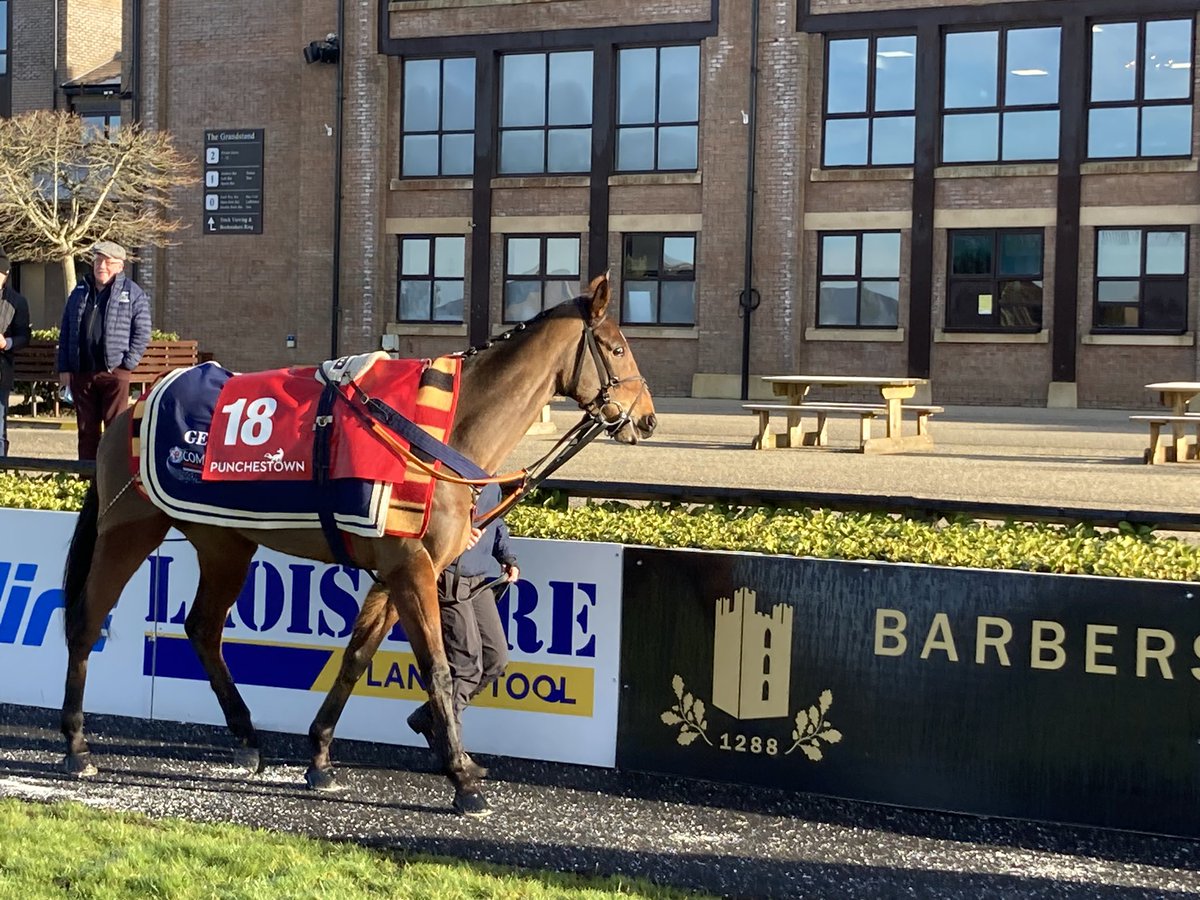 GoldmanRacing's tweet photo. Nice Afternoon @punchestownrace today, calico was 3rd today and we are looking forward to her running again 🐎.. Thanks to Sam Ewing and @gelliott_racing 🔵⚪️🔵⚪️ https://t.co/QAtwbRwPXG