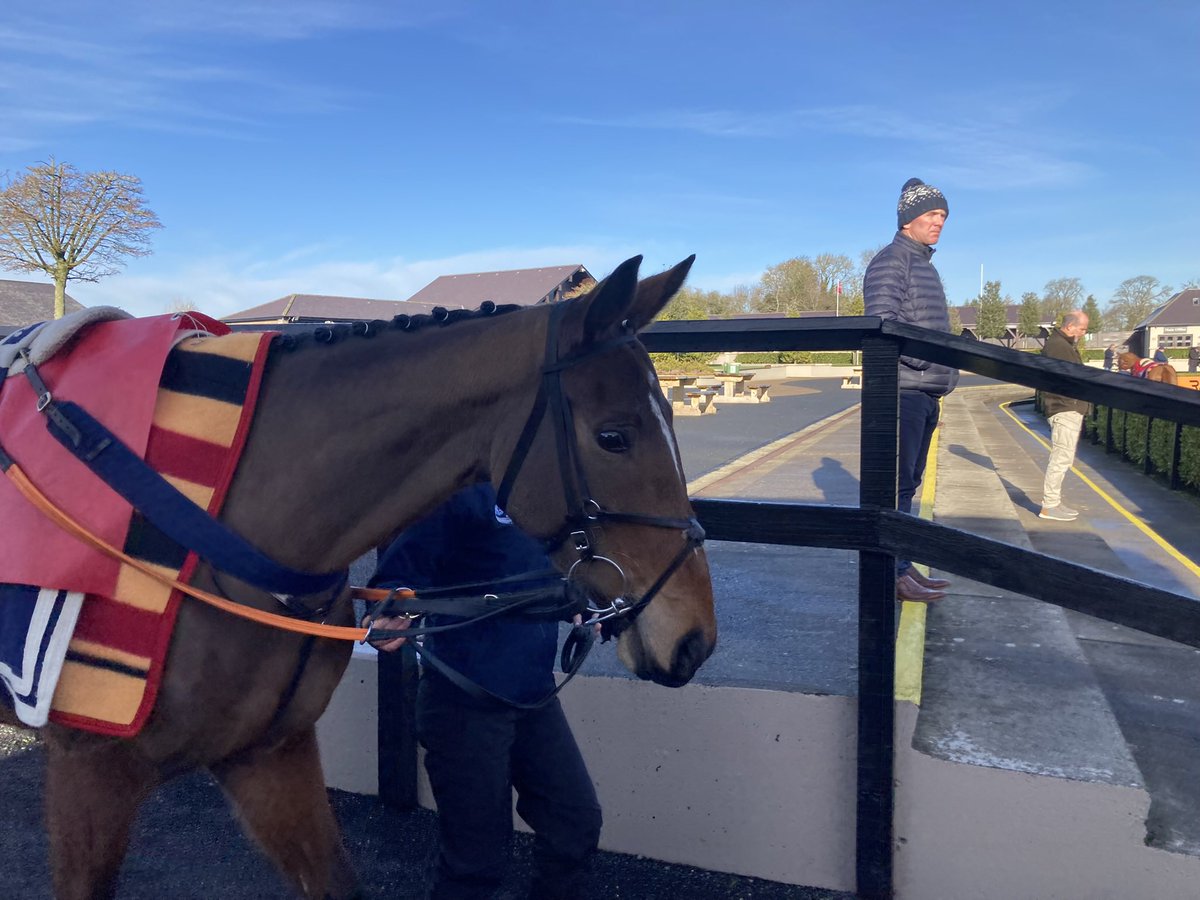 GoldmanRacing's tweet photo. Nice Afternoon @punchestownrace today, calico was 3rd today and we are looking forward to her running again 🐎.. Thanks to Sam Ewing and @gelliott_racing 🔵⚪️🔵⚪️ https://t.co/QAtwbRwPXG