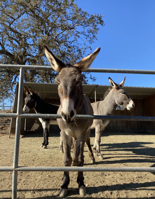 Watch TAYLOR WHITE's leaked NSFW photo on TwXstars