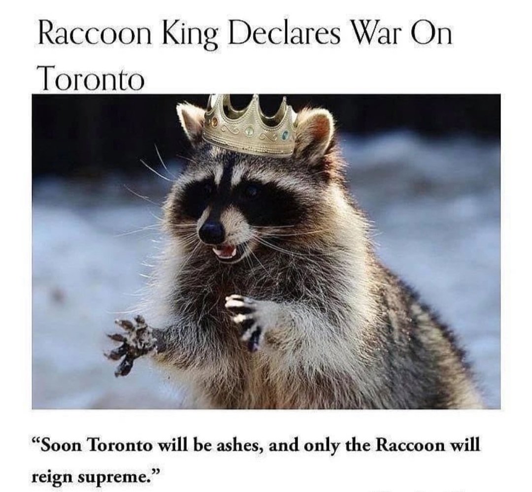 RedLineRaccoon's tweet photo. I'm coming for you @TorontoFC Wednesday, May 31st, 2023 #cffc #cf97 https://t.co/sP7ZoMDrgU